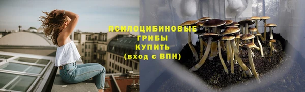 СК Алексеевка